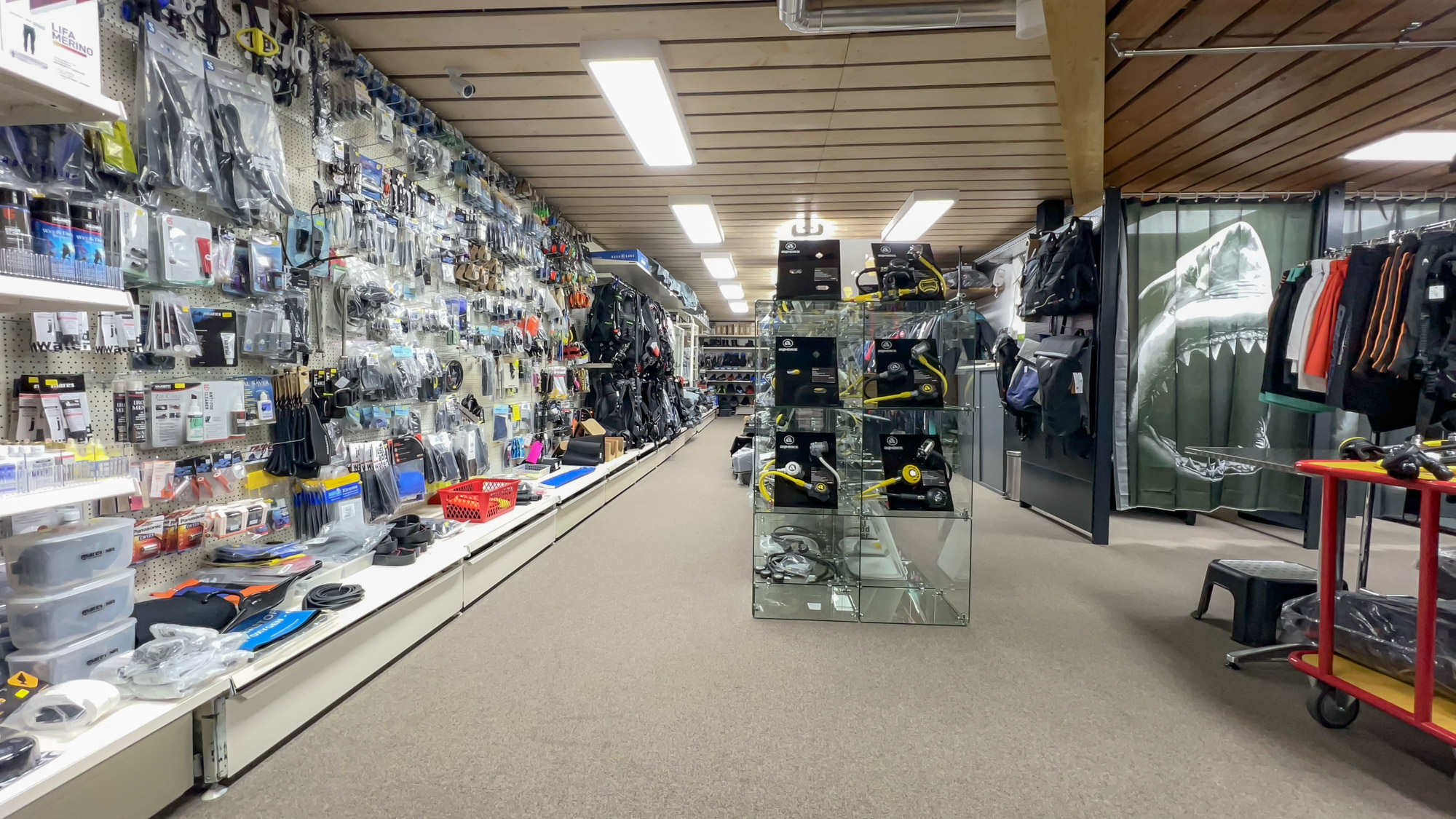 shipshop_muttenz_Tauchausruestung_Tauchausbildung_Tauchlehrer_Basel_riehen_baselland